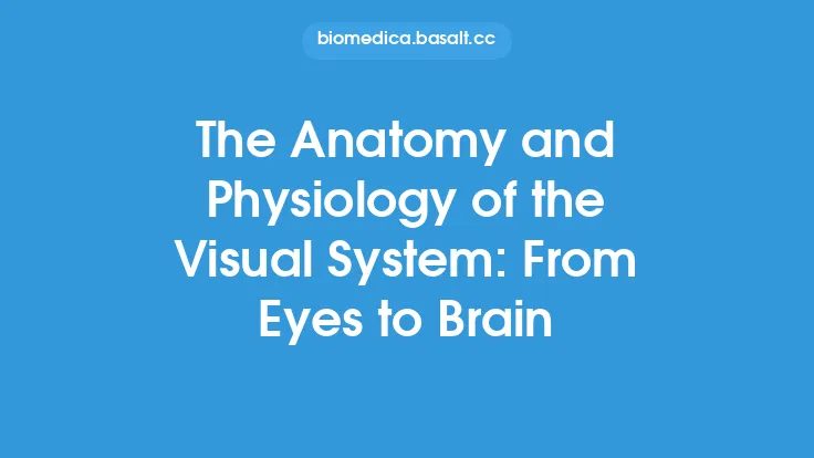 The Anatomy and Physiology of the Visual System: From Eyes to Brain Thumbnail