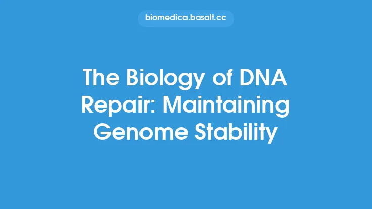 The Biology of DNA Repair: Maintaining Genome Stability Thumbnail