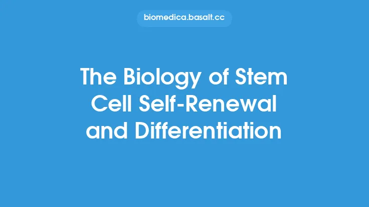 The Biology of Stem Cell Self-Renewal and Differentiation Thumbnail