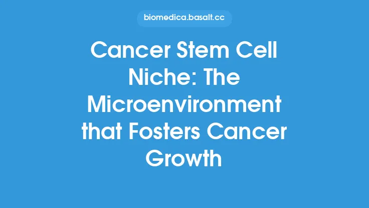 Cancer Stem Cell Niche: The Microenvironment that Fosters Cancer Growth Thumbnail