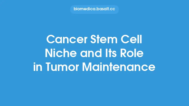 Cancer Stem Cell Niche and Its Role in Tumor Maintenance Thumbnail