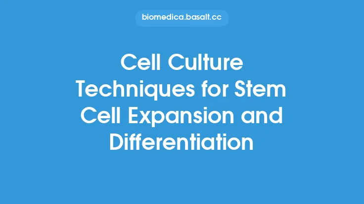 Cell Culture Techniques for Stem Cell Expansion and Differentiation Thumbnail