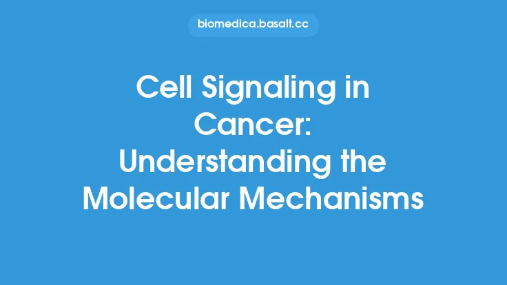 Cell Signaling in Cancer: Understanding the Molecular Mechanisms Thumbnail