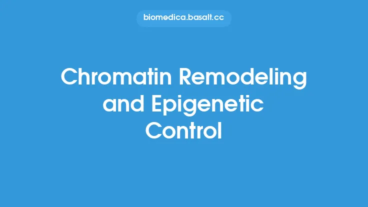 Chromatin Remodeling and Epigenetic Control Thumbnail