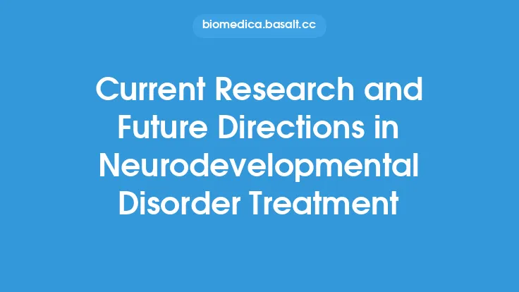 Current Research and Future Directions in Neurodevelopmental Disorder Treatment Thumbnail