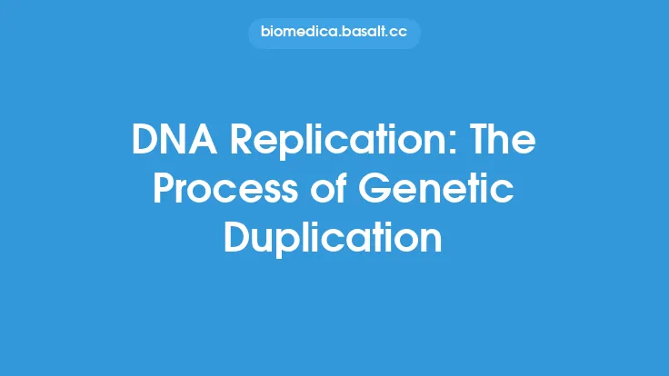 DNA Replication: The Process of Genetic Duplication Thumbnail