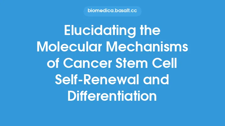 Elucidating the Molecular Mechanisms of Cancer Stem Cell Self-Renewal and Differentiation Thumbnail