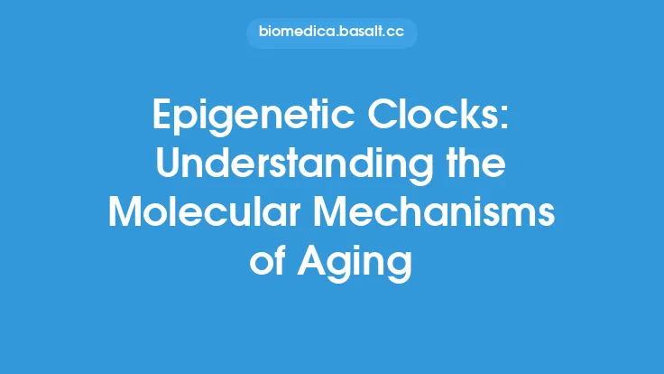 Epigenetic Clocks: Understanding the Molecular Mechanisms of Aging Thumbnail