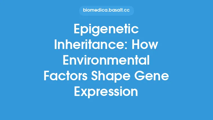 Epigenetic Inheritance: How Environmental Factors Shape Gene Expression Thumbnail