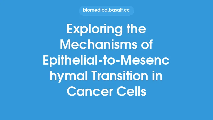 Exploring the Mechanisms of Epithelial-to-Mesenchymal Transition in Cancer Cells Thumbnail