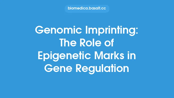 Genomic Imprinting: The Role of Epigenetic Marks in Gene Regulation Thumbnail