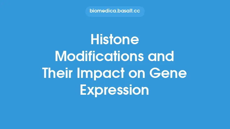 Histone Modifications and Their Impact on Gene Expression Thumbnail