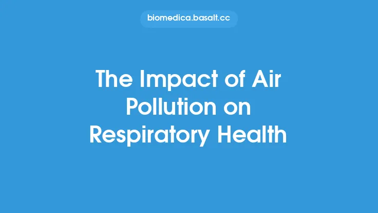 The Impact of Air Pollution on Respiratory Health Thumbnail
