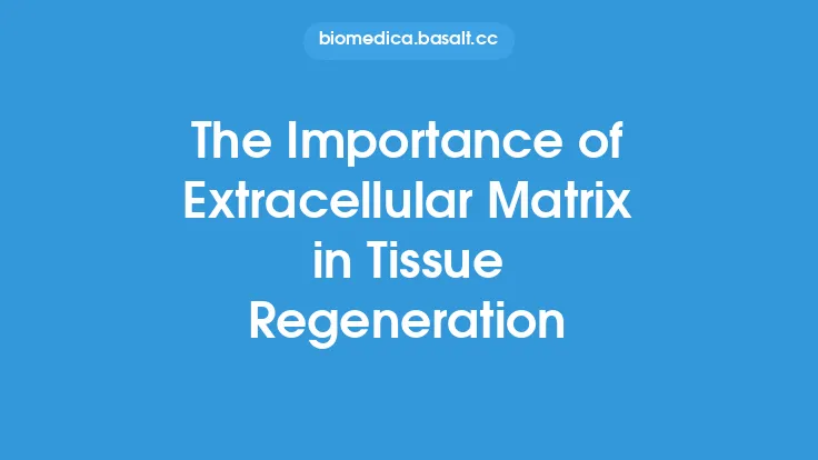 The Importance of Extracellular Matrix in Tissue Regeneration Thumbnail