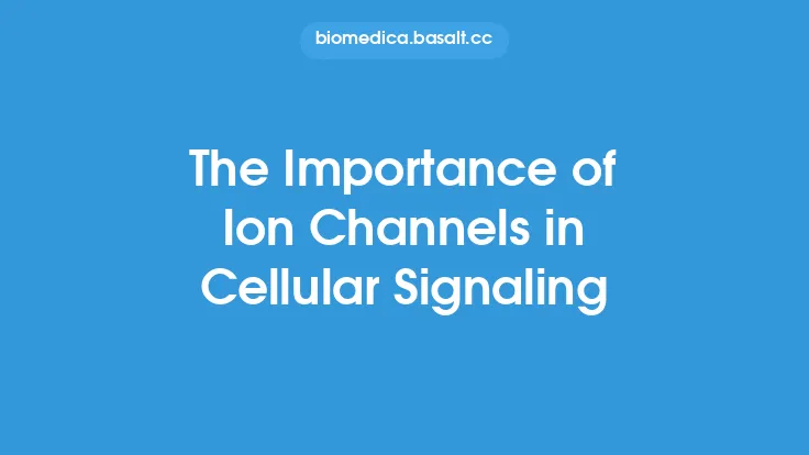 The Importance of Ion Channels in Cellular Signaling Thumbnail