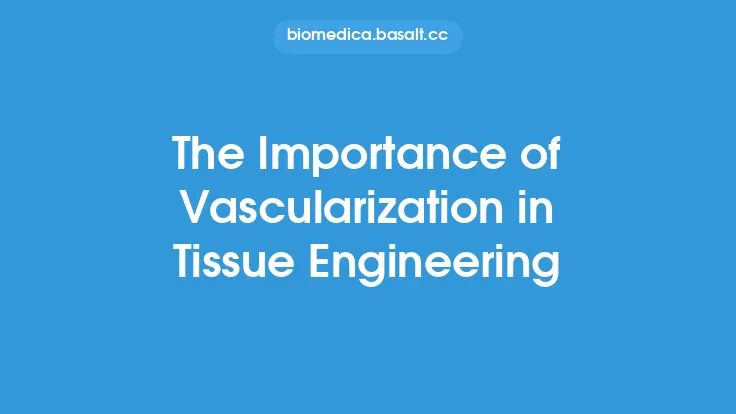 The Importance of Vascularization in Tissue Engineering Thumbnail