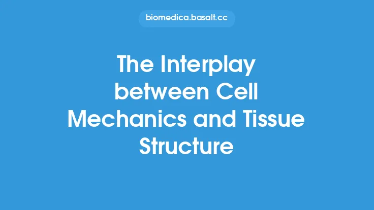The Interplay between Cell Mechanics and Tissue Structure Thumbnail