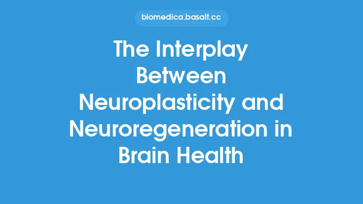 The Interplay Between Neuroplasticity and Neuroregeneration in Brain Health Thumbnail