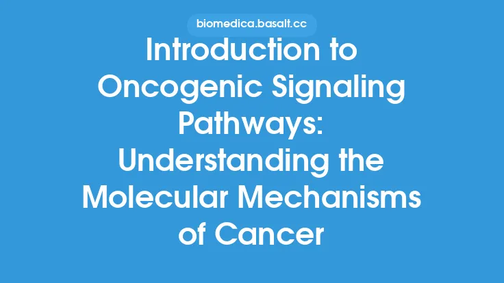 Introduction to Oncogenic Signaling Pathways: Understanding the Molecular Mechanisms of Cancer Thumbnail