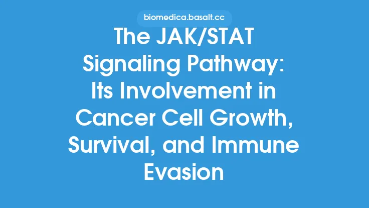 The JAK/STAT Signaling Pathway: Its Involvement in Cancer Cell Growth, Survival, and Immune Evasion Thumbnail