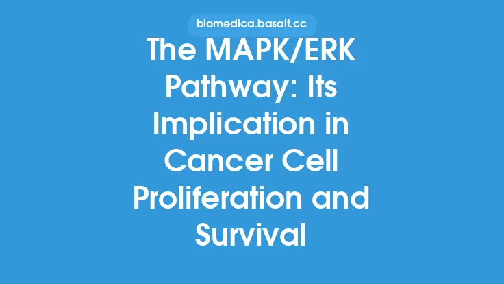 The MAPK/ERK Pathway: Its Implication in Cancer Cell Proliferation and Survival Thumbnail
