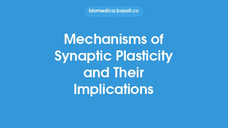 Mechanisms of Synaptic Plasticity and Their Implications Thumbnail