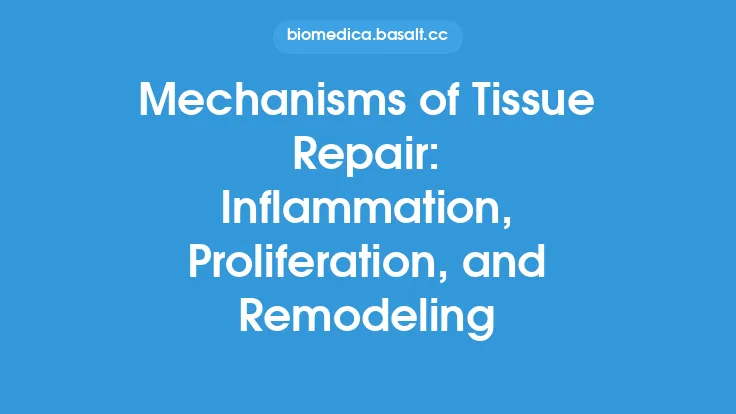 Mechanisms of Tissue Repair: Inflammation, Proliferation, and Remodeling Thumbnail