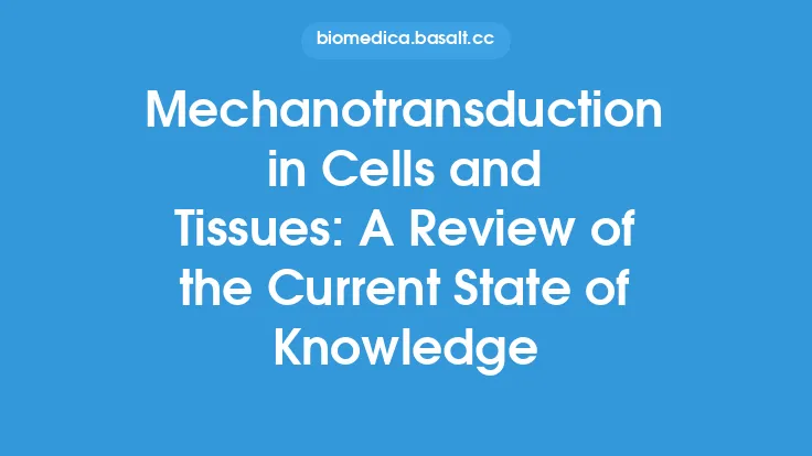 Mechanotransduction in Cells and Tissues: A Review of the Current State of Knowledge Thumbnail