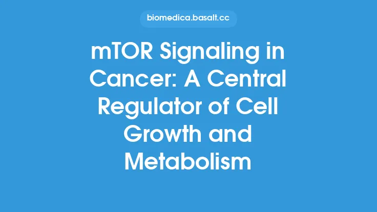 mTOR Signaling in Cancer: A Central Regulator of Cell Growth and Metabolism Thumbnail