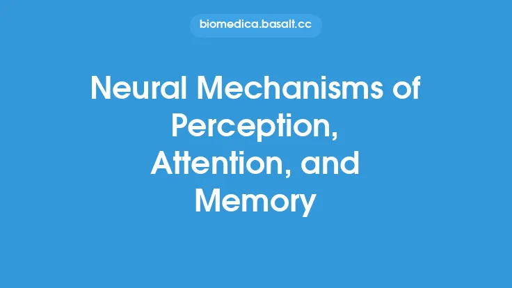 Neural Mechanisms of Perception, Attention, and Memory Thumbnail