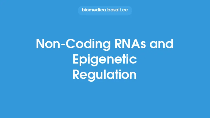 Non-Coding RNAs and Epigenetic Regulation Thumbnail