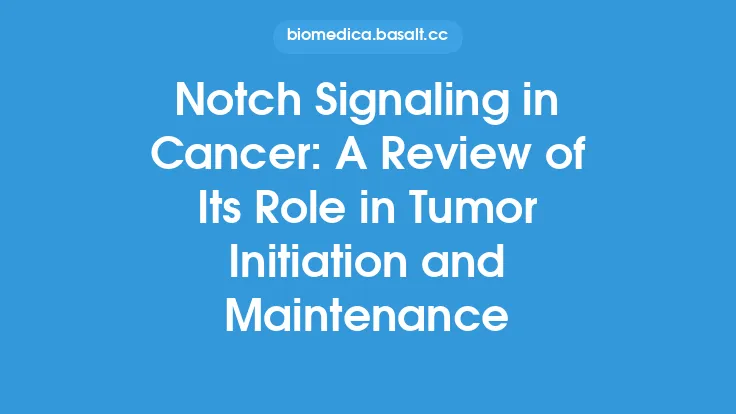 Notch Signaling in Cancer: A Review of Its Role in Tumor Initiation and Maintenance Thumbnail