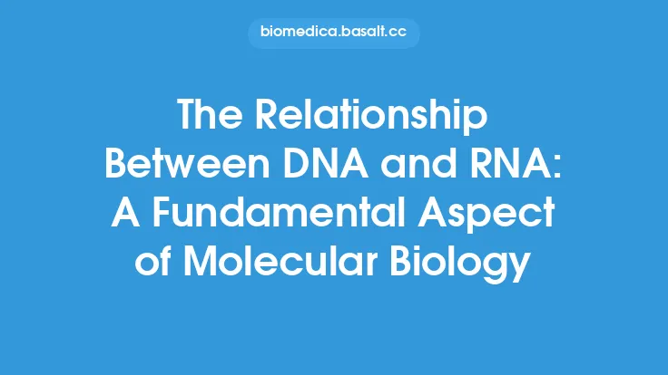 The Relationship Between DNA and RNA: A Fundamental Aspect of Molecular Biology Thumbnail