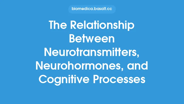 The Relationship Between Neurotransmitters, Neurohormones, and Cognitive Processes Thumbnail