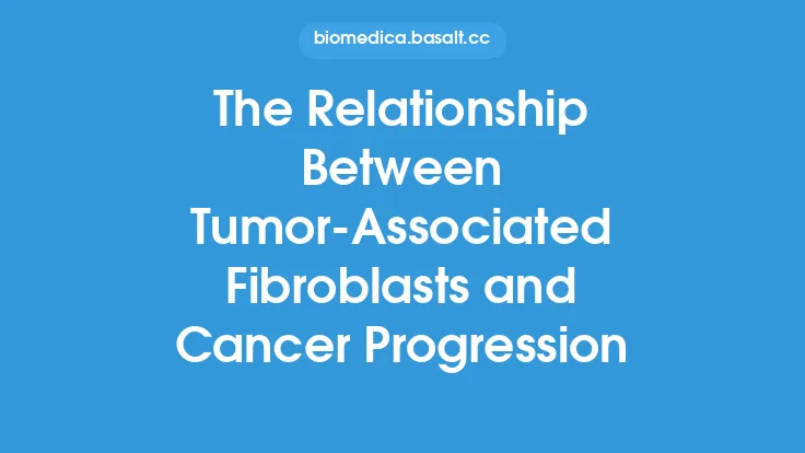 The Relationship Between Tumor-Associated Fibroblasts and Cancer Progression Thumbnail