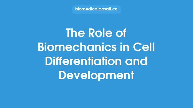 The Role of Biomechanics in Cell Differentiation and Development Thumbnail