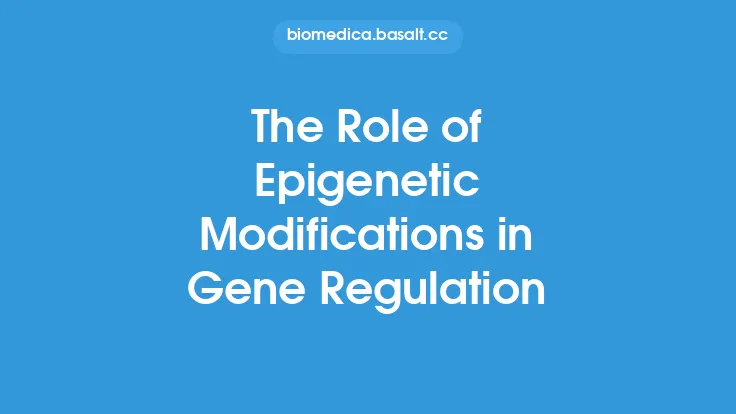 The Role of Epigenetic Modifications in Gene Regulation Thumbnail