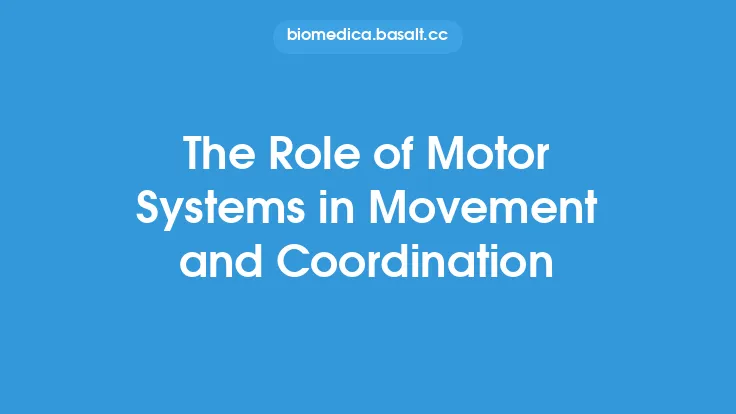 The Role of Motor Systems in Movement and Coordination Thumbnail