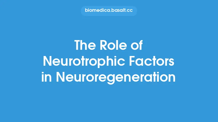 The Role of Neurotrophic Factors in Neuroregeneration Thumbnail