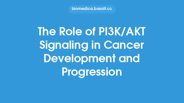 The Role of PI3K/AKT Signaling in Cancer Development and Progression Thumbnail