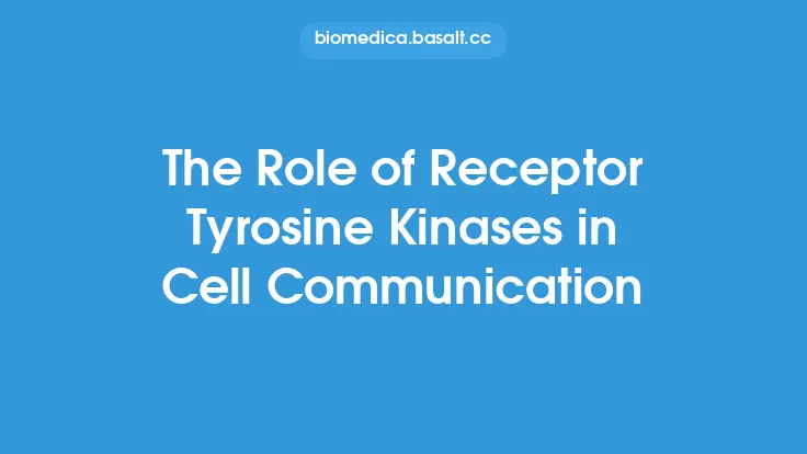 The Role of Receptor Tyrosine Kinases in Cell Communication Thumbnail