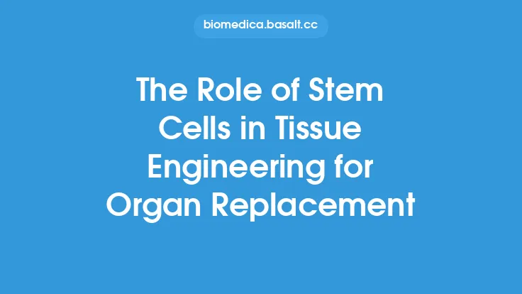 The Role of Stem Cells in Tissue Engineering for Organ Replacement Thumbnail