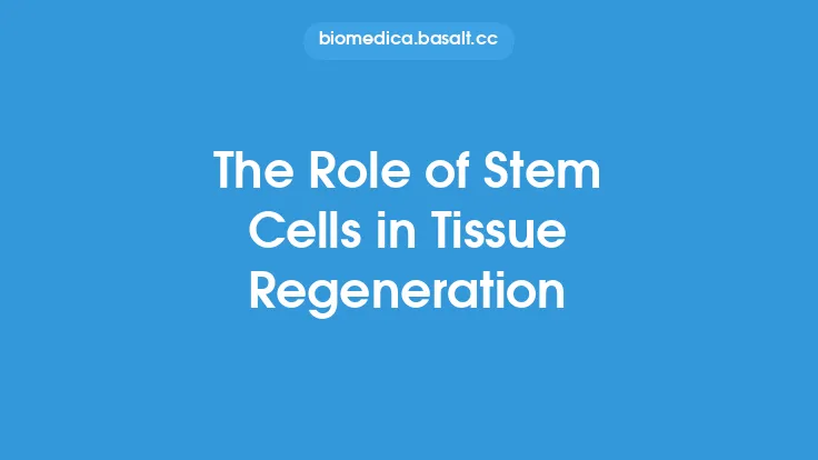The Role of Stem Cells in Tissue Regeneration Thumbnail