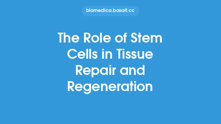 The Role of Stem Cells in Tissue Repair and Regeneration Thumbnail