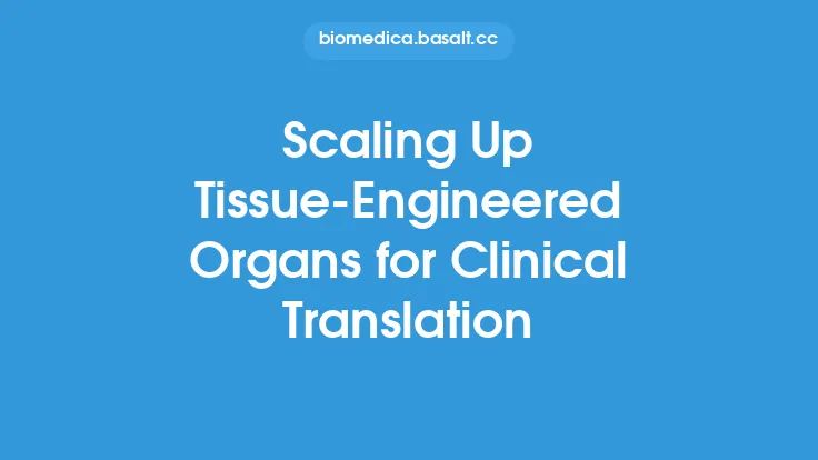 Scaling Up Tissue-Engineered Organs for Clinical Translation Thumbnail