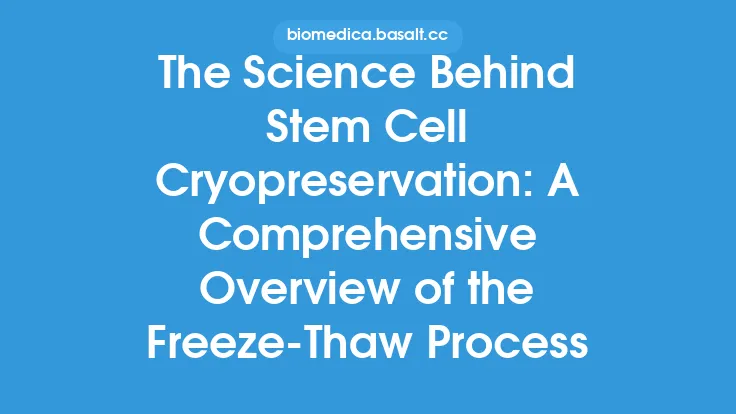 The Science Behind Stem Cell Cryopreservation: A Comprehensive Overview of the Freeze-Thaw Process Thumbnail