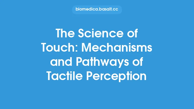 The Science of Touch: Mechanisms and Pathways of Tactile Perception Thumbnail