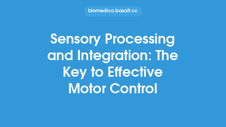 Sensory Processing and Integration: The Key to Effective Motor Control Thumbnail