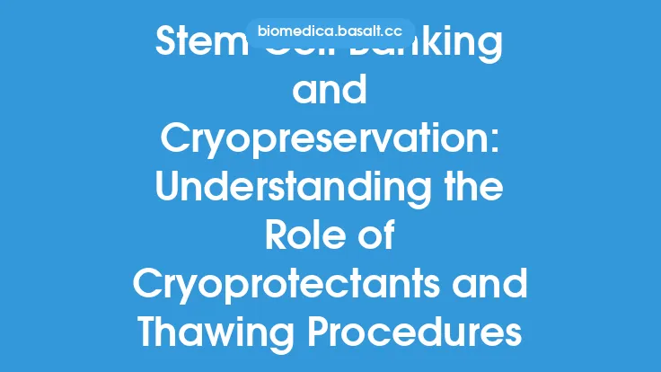 Stem Cell Banking and Cryopreservation: Understanding the Role of Cryoprotectants and Thawing Procedures Thumbnail