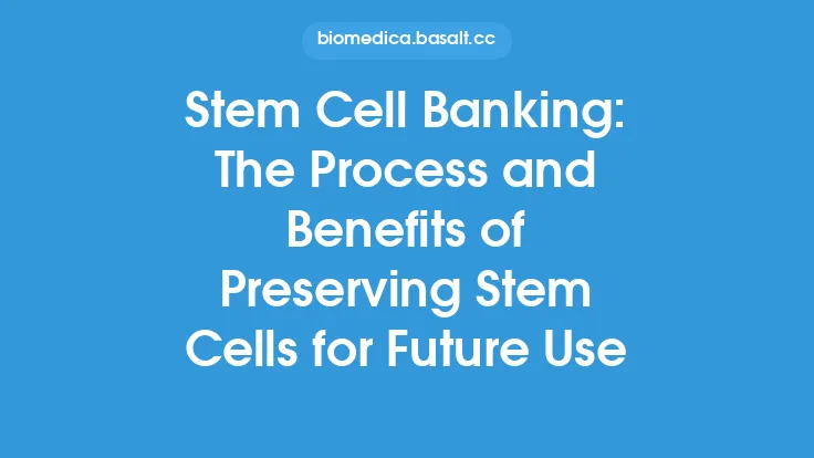 Stem Cell Banking: The Process and Benefits of Preserving Stem Cells for Future Use Thumbnail